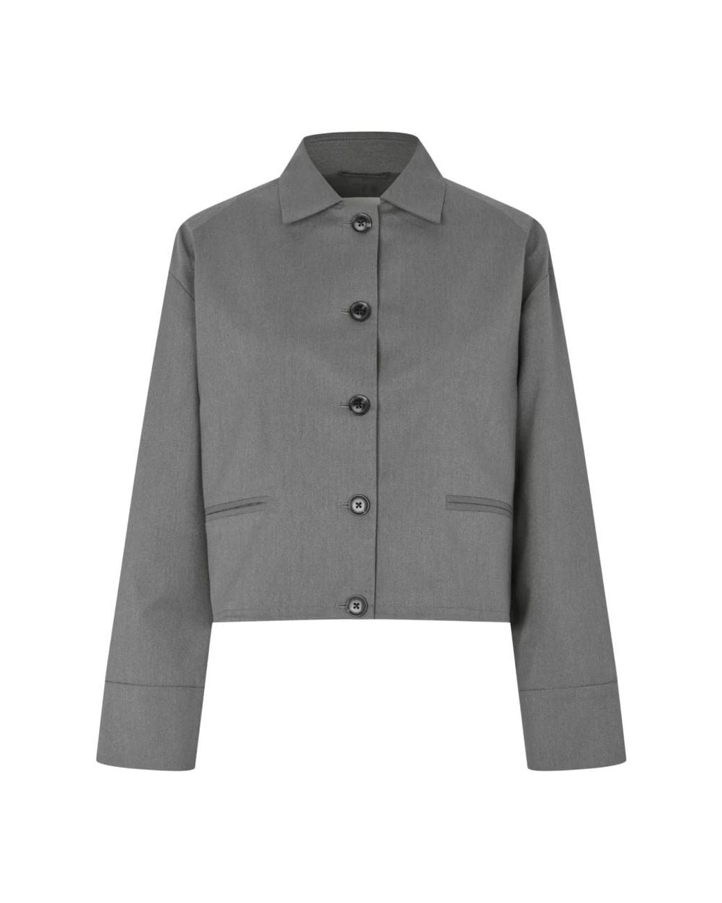 Samsøe & Samsøe Jassen ,Grijs ,Leer Sakelly Blazer in het Gray