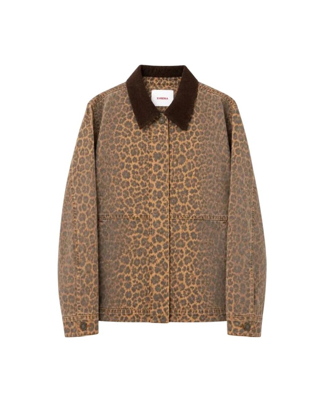 Xirena Earle Jacket in het Brown