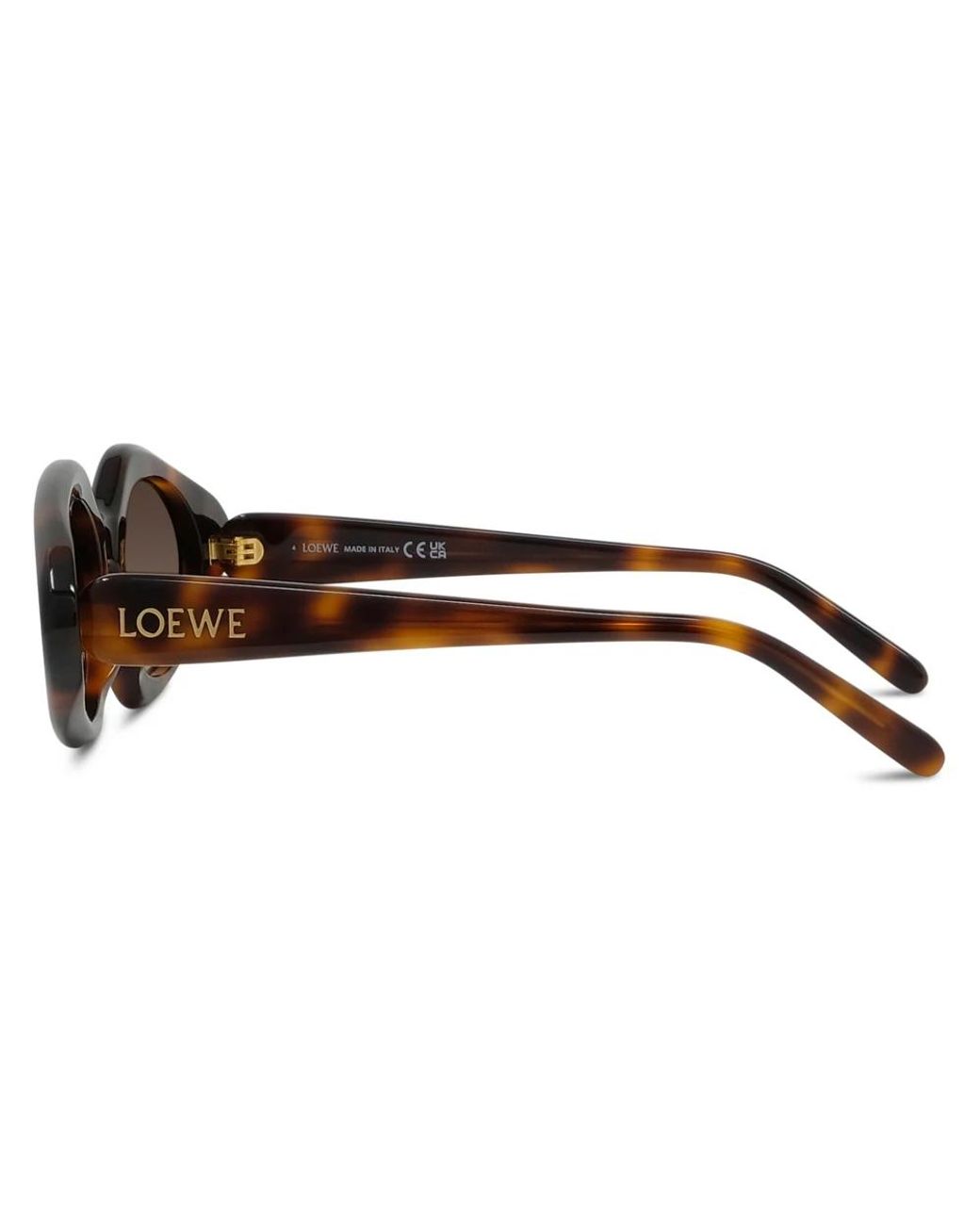 Loewe Brown Sunglasses