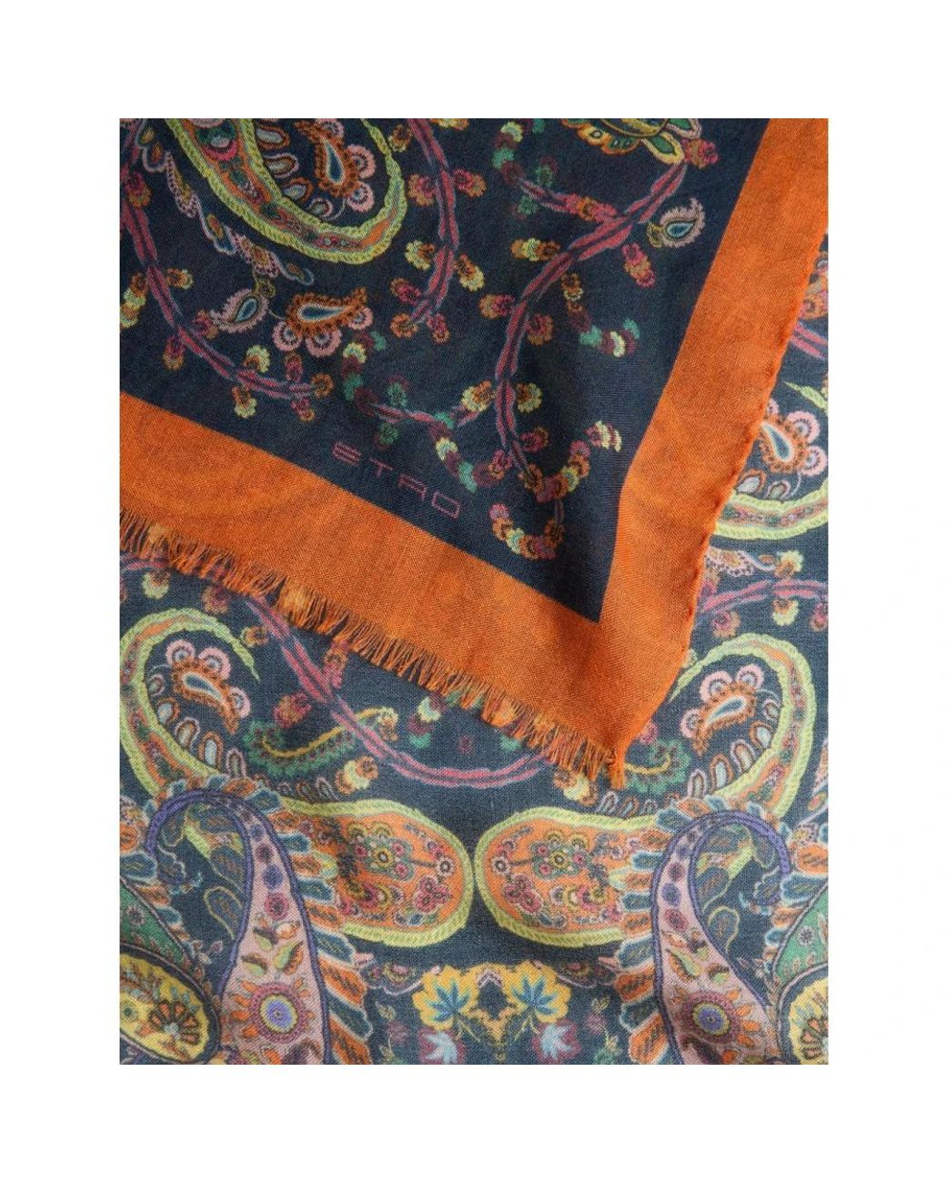 Etro Brown Scarves