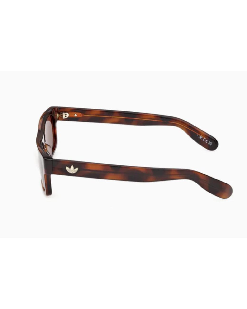 Adidas Brown Sunglasses