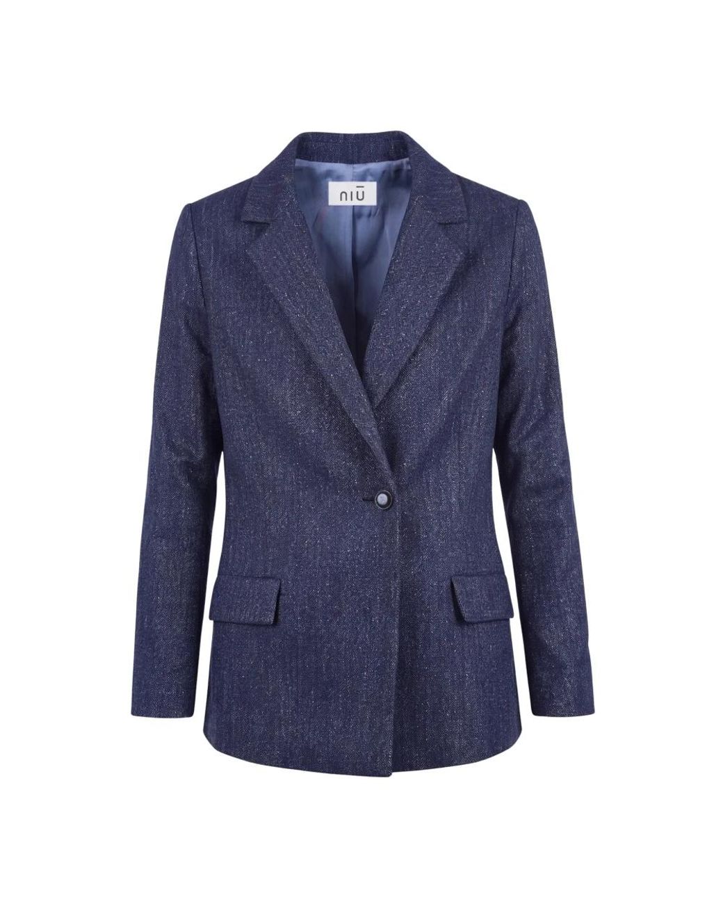 Niu Blue Blazers