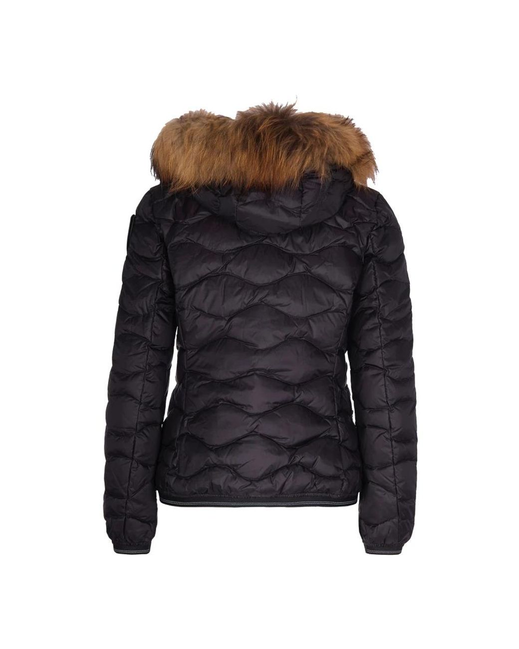 Blauer Black Down Jackets