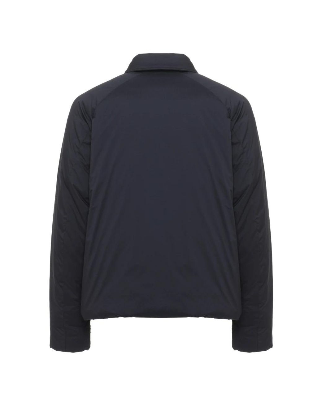 Canada Goose Blue Light Jackets for men