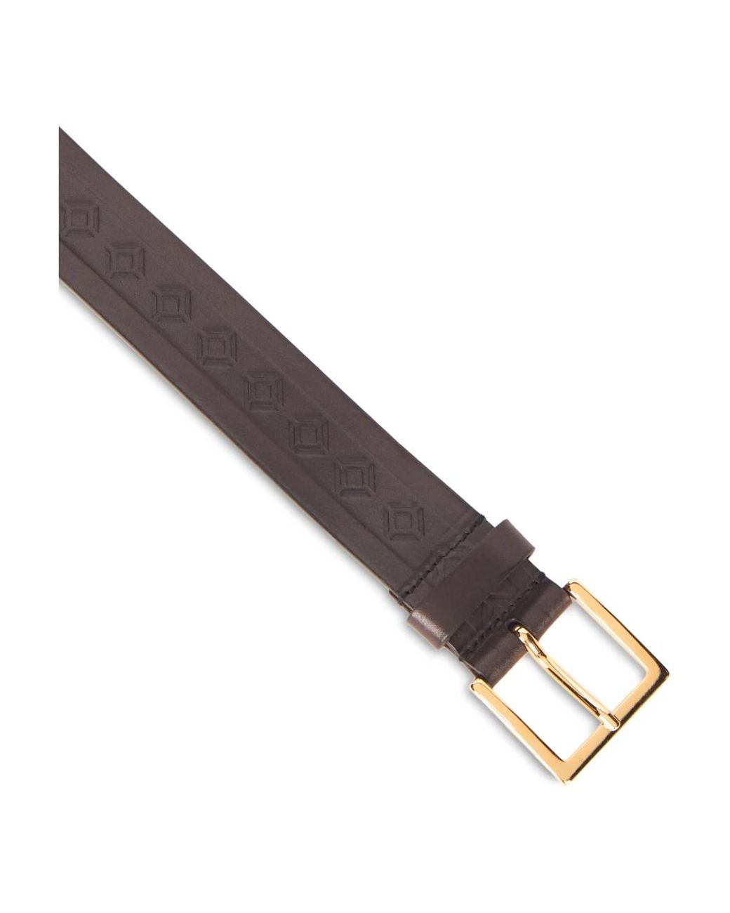 Belts Alberta Ferretti de color Brown