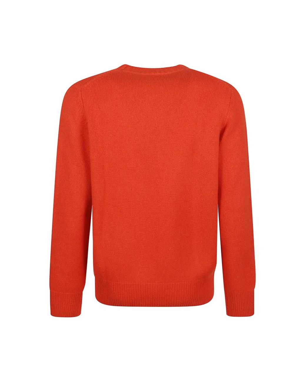 Soft Goat Red Round-Neck Knitwear for men
