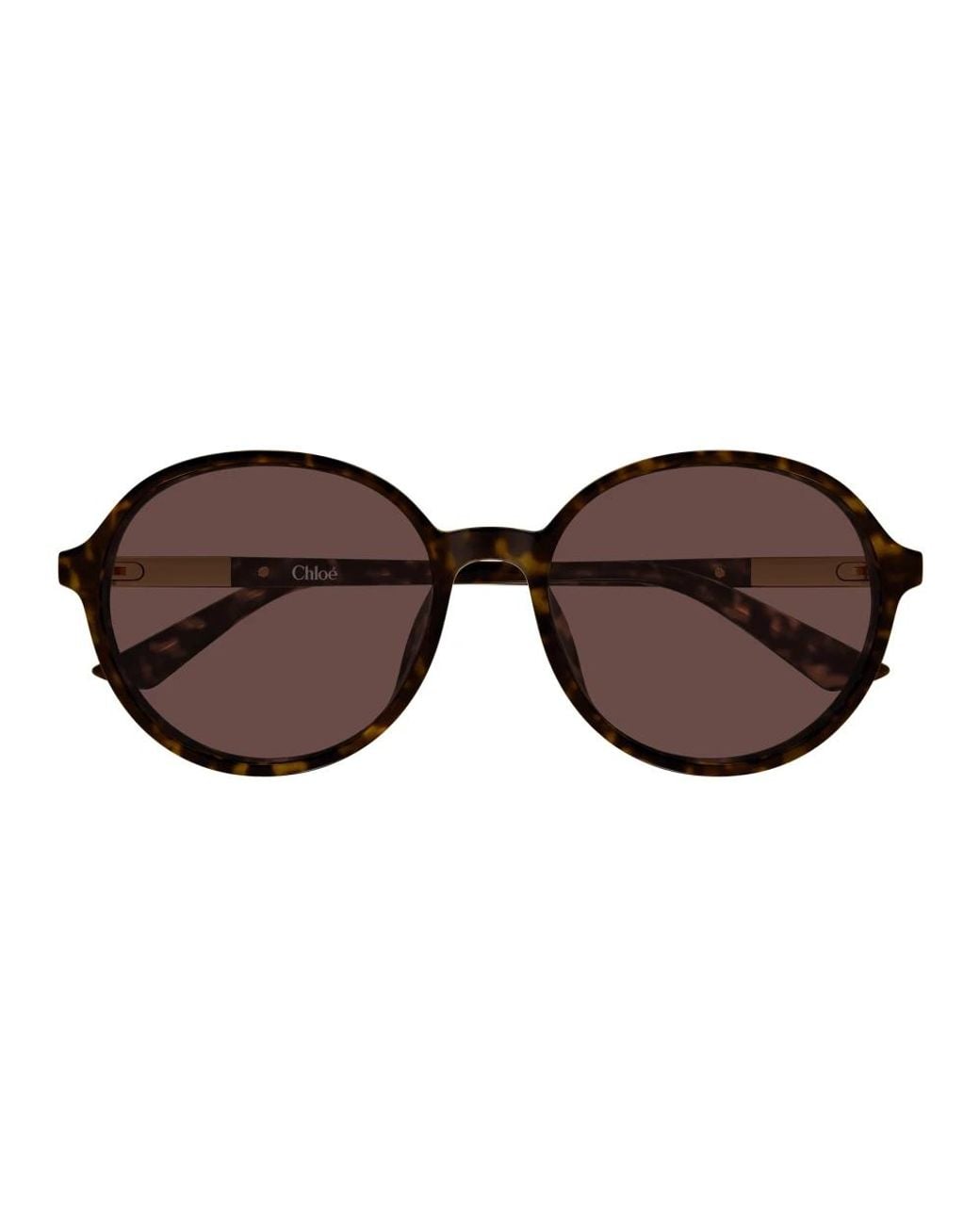 Chloé Brown Sunglasses