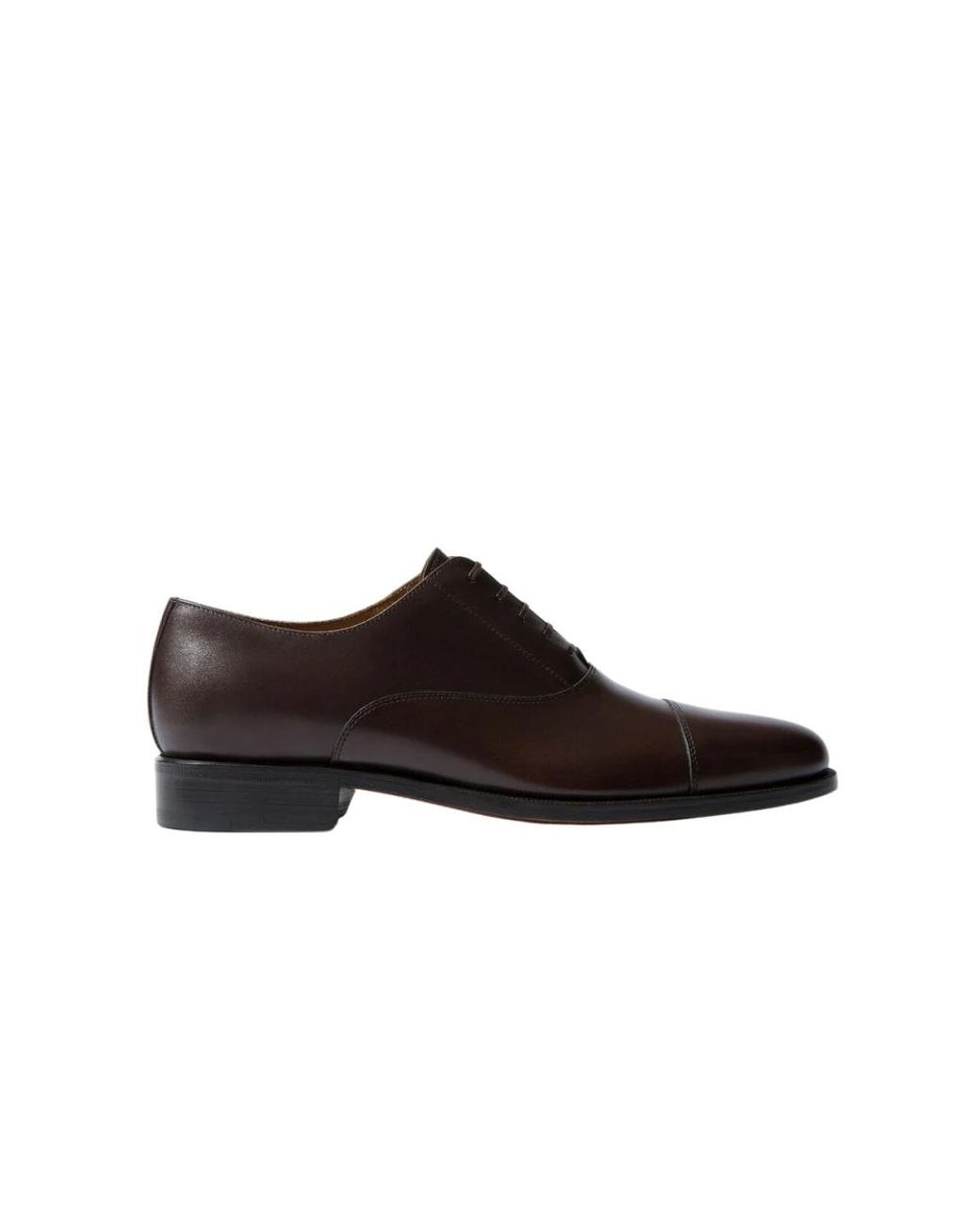 Scarosso Brown Laced Shoes for men