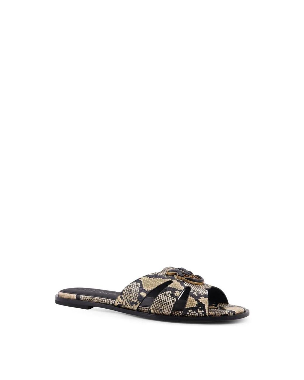 Pinko Brown Sliders