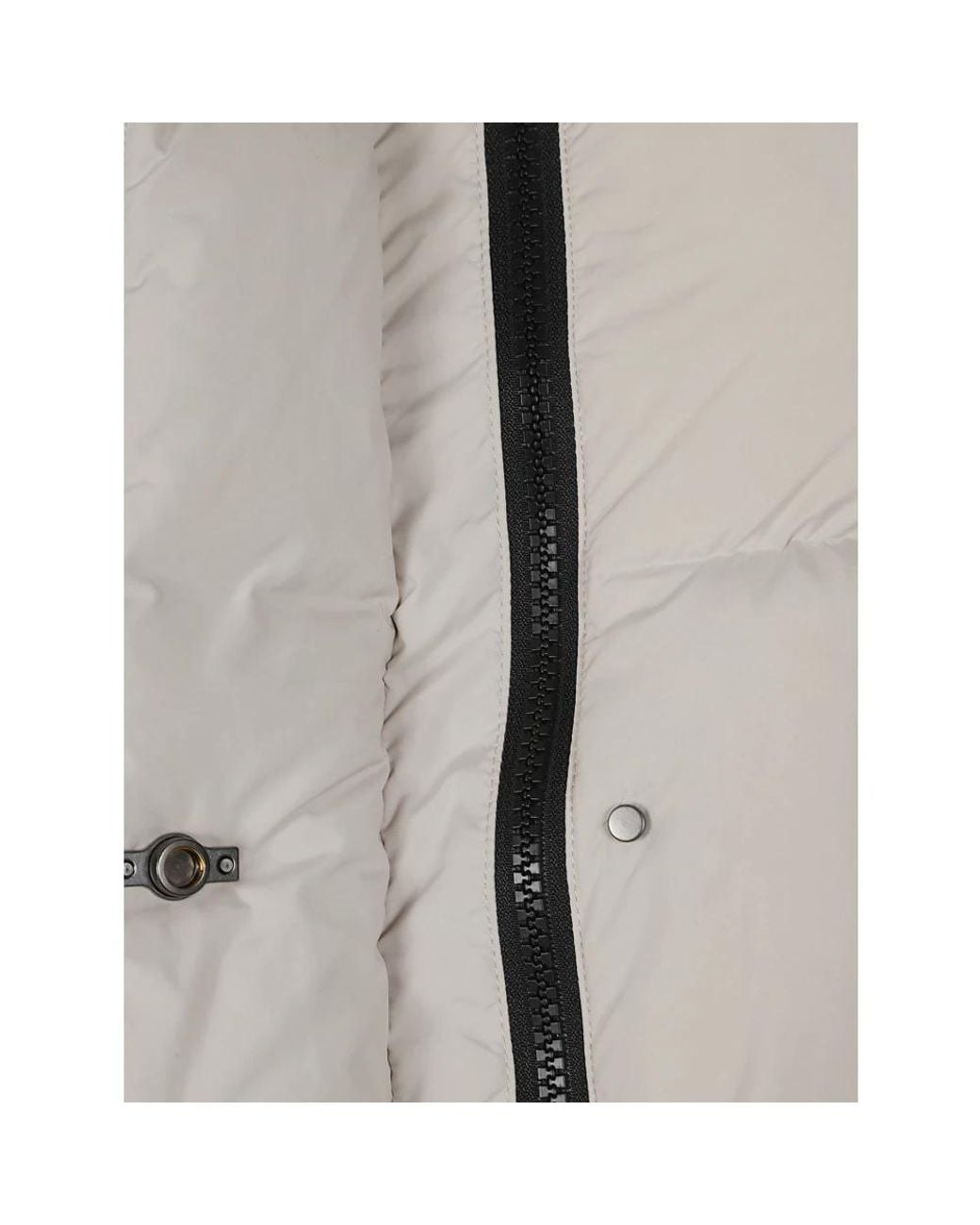 Winter Jackets Rrd de color Gray