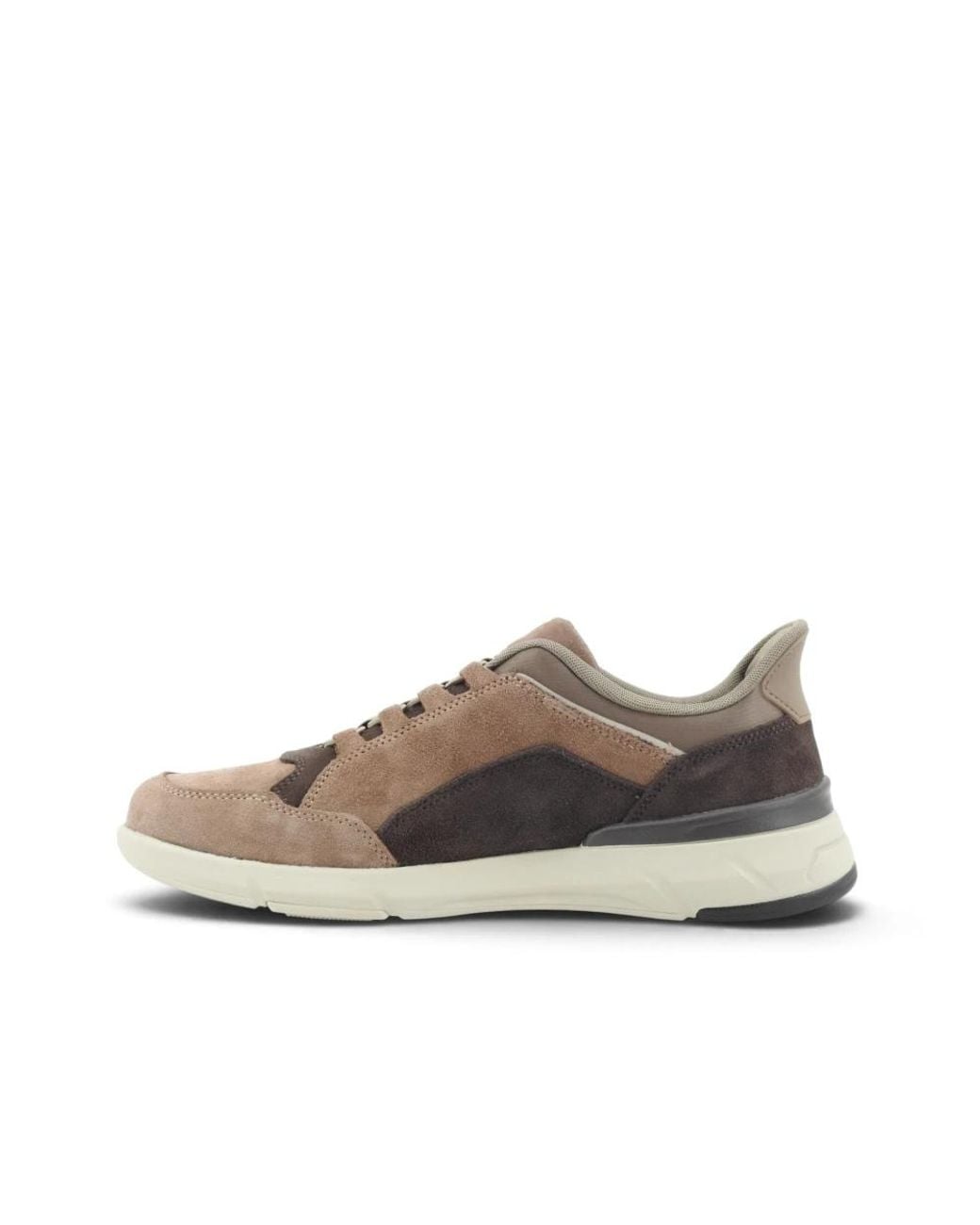 Geox Sneakers in Brown für Herren