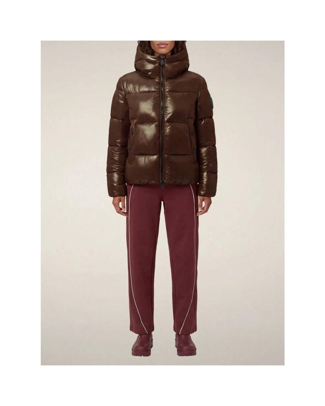 Winter Jackets Save The Duck de color Brown