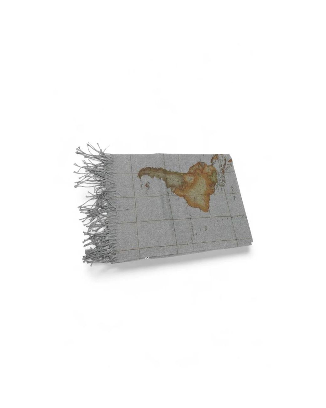 Alviero Martini 1A Classe Gray Winter Scarves