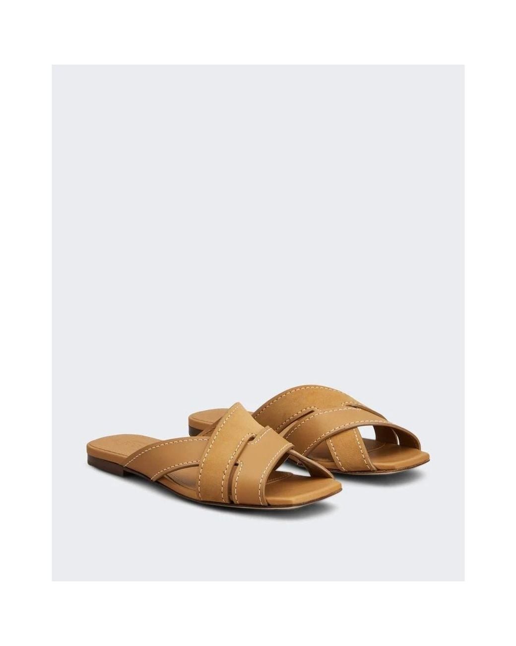 Tod's Brown Sliders