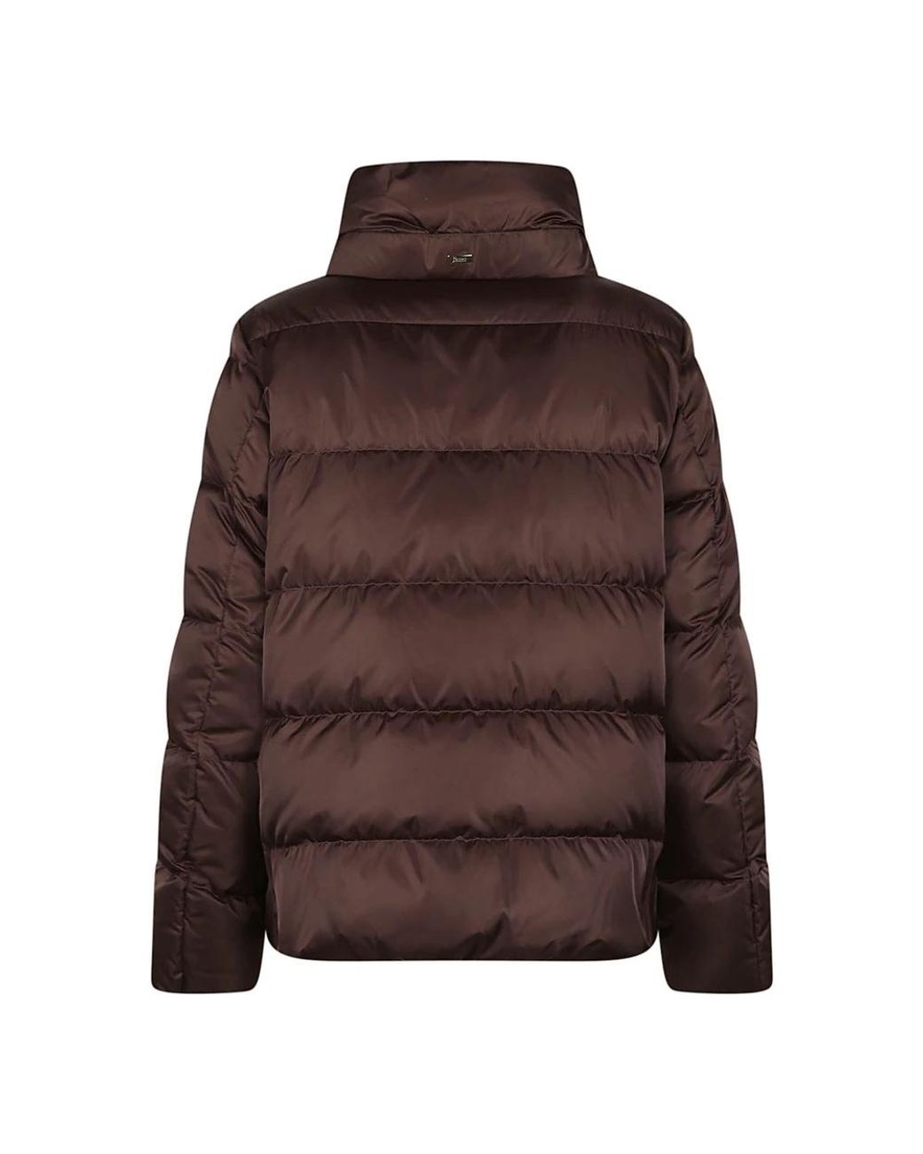 Winter Jackets di Herno in Brown