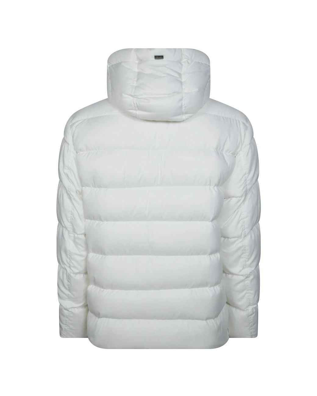 Winter Jackets Herno de hombre de color Gray