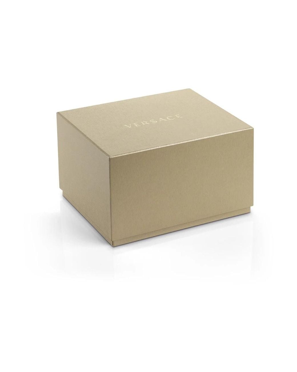 Versace Metallic Watches