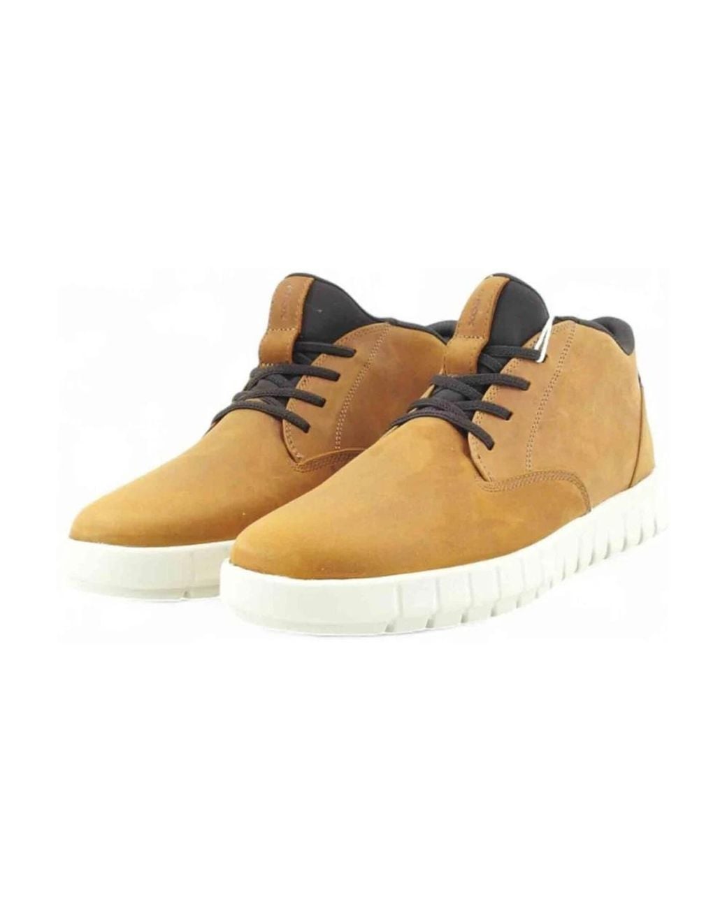 Geox Brown Sneakers for men