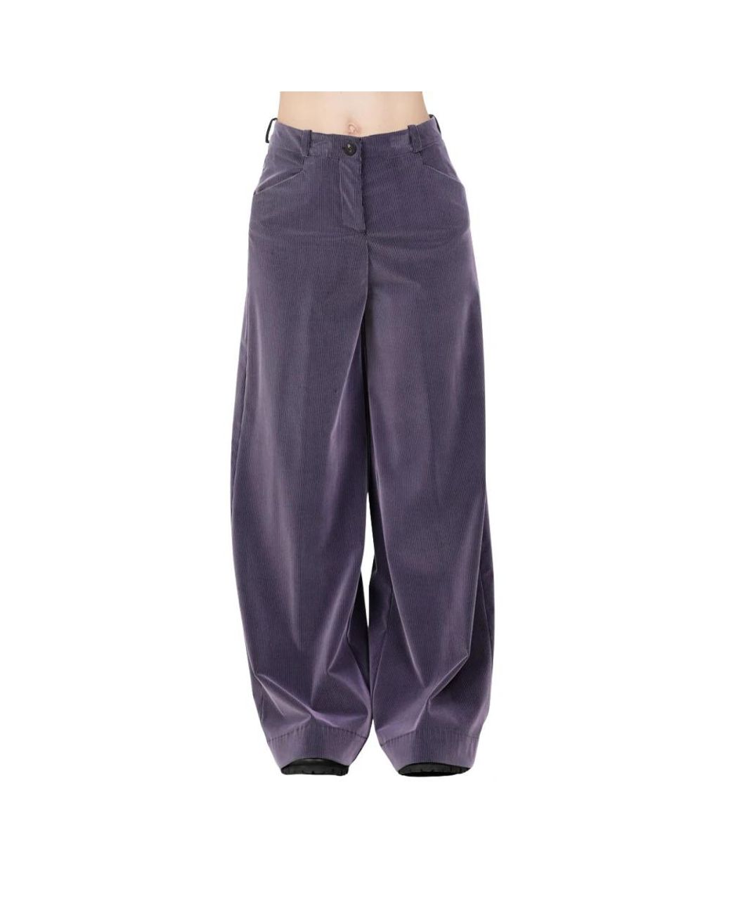 Rrd Broeken ,Paars ,Pantalone Livia in het Purple