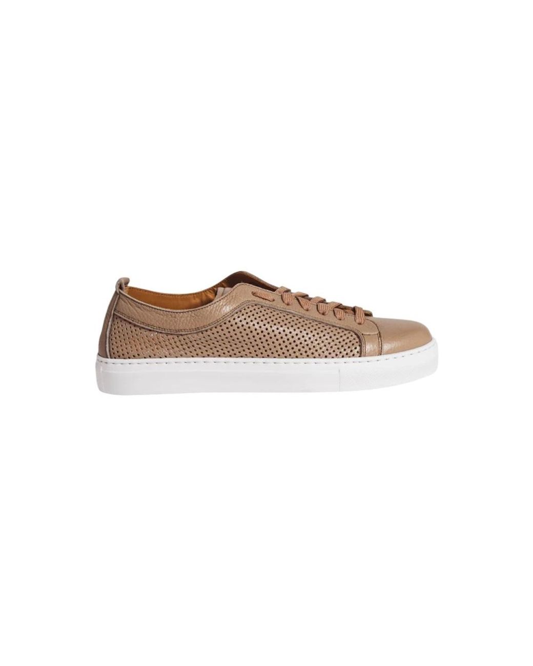Calce Brown Sneakers for men
