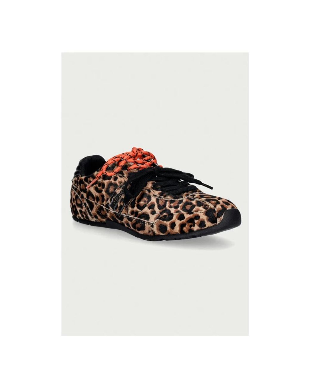 Just Cavalli Brown Sneakers