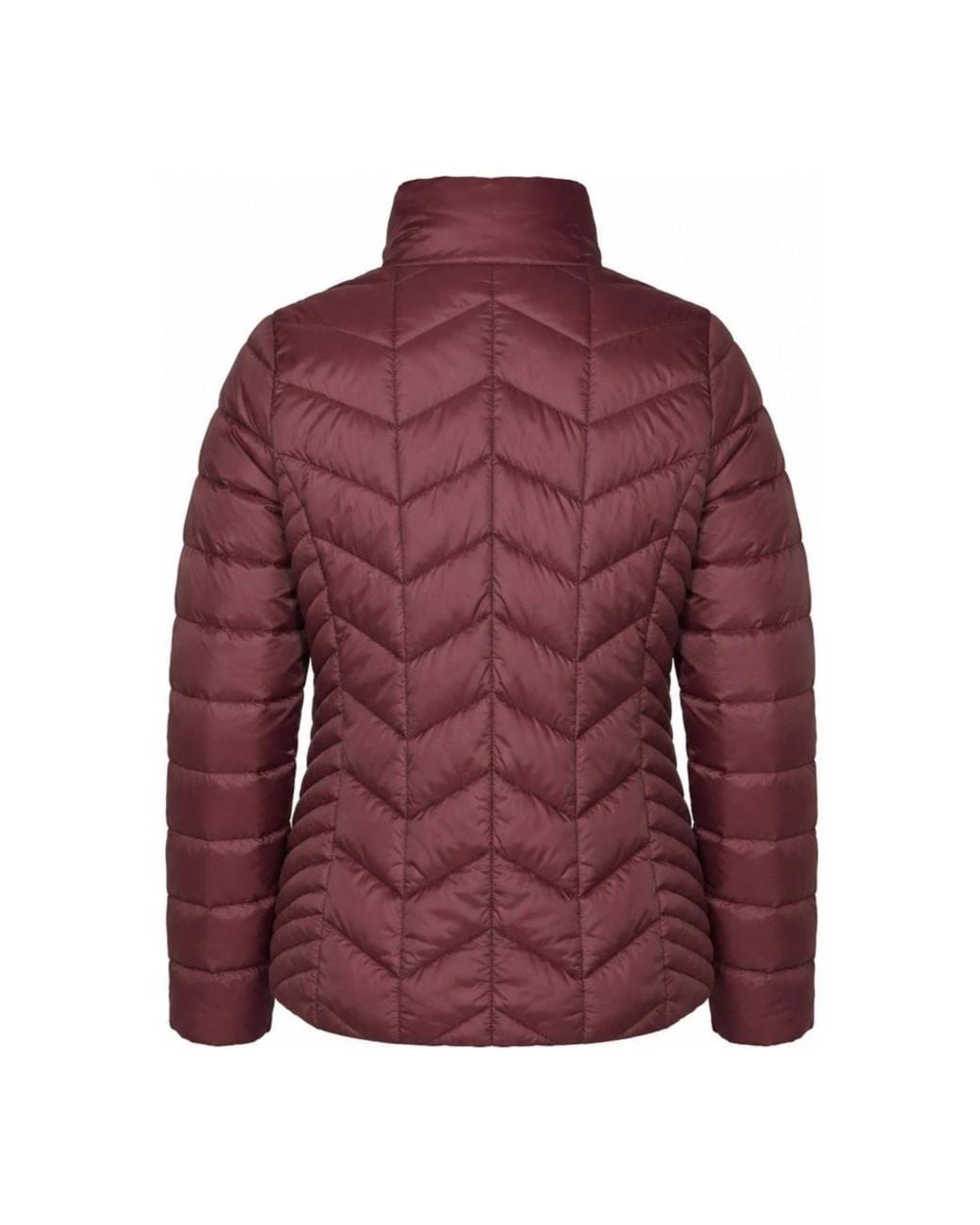 Winter Jackets Danwear de color Purple