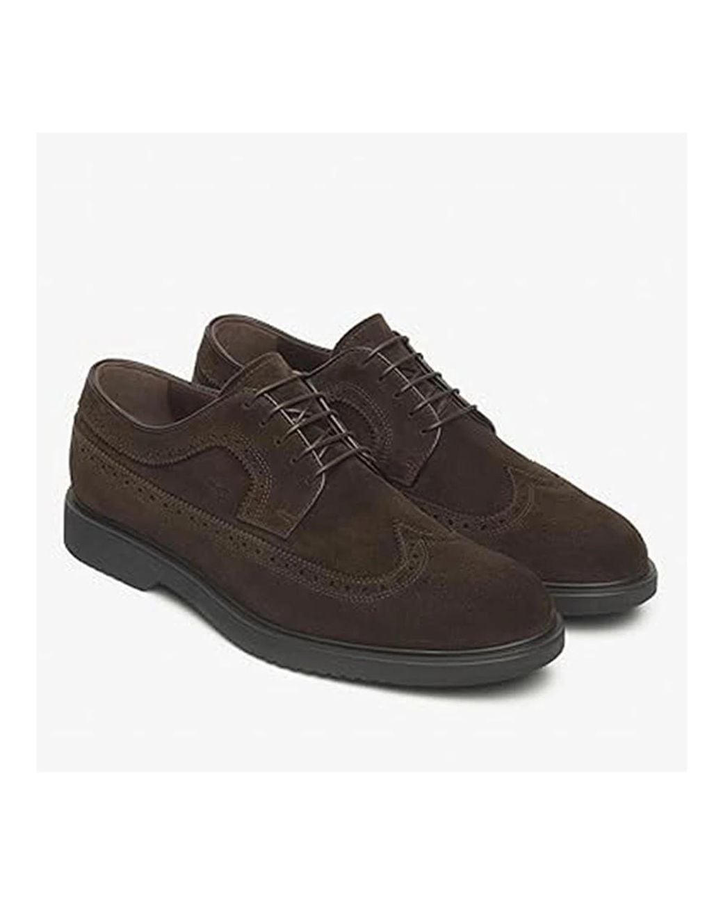 Nero Giardini Brown Laced Shoes for men