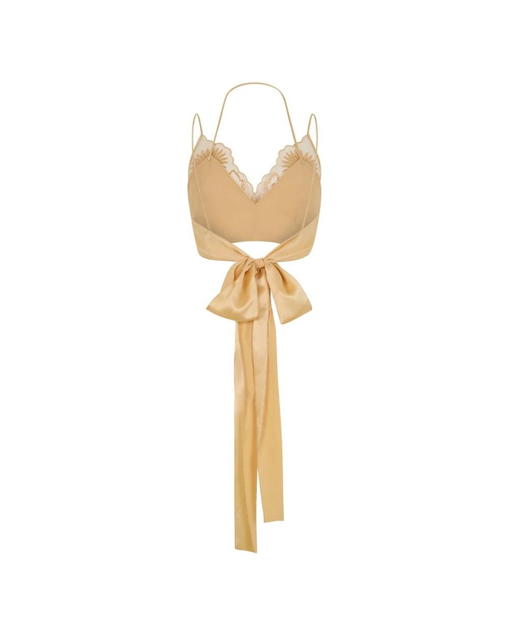 Alberta Ferretti Metallic Sleeveless Tops