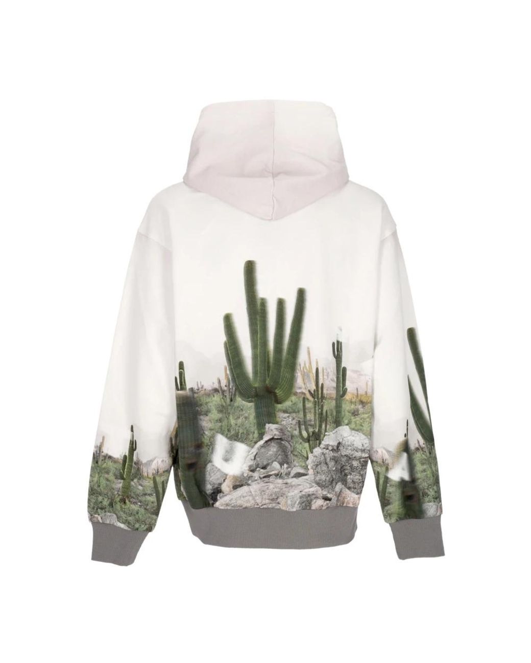 Acupuncture Gray Hoodies for men