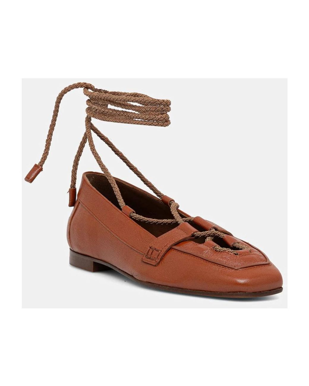 Ballerinas Pollini en coloris Brown