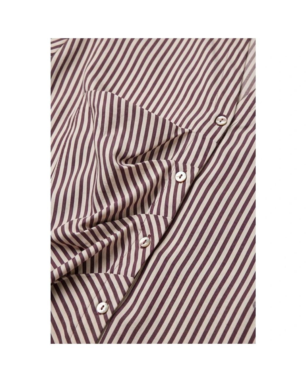 Summum Brown Shirts