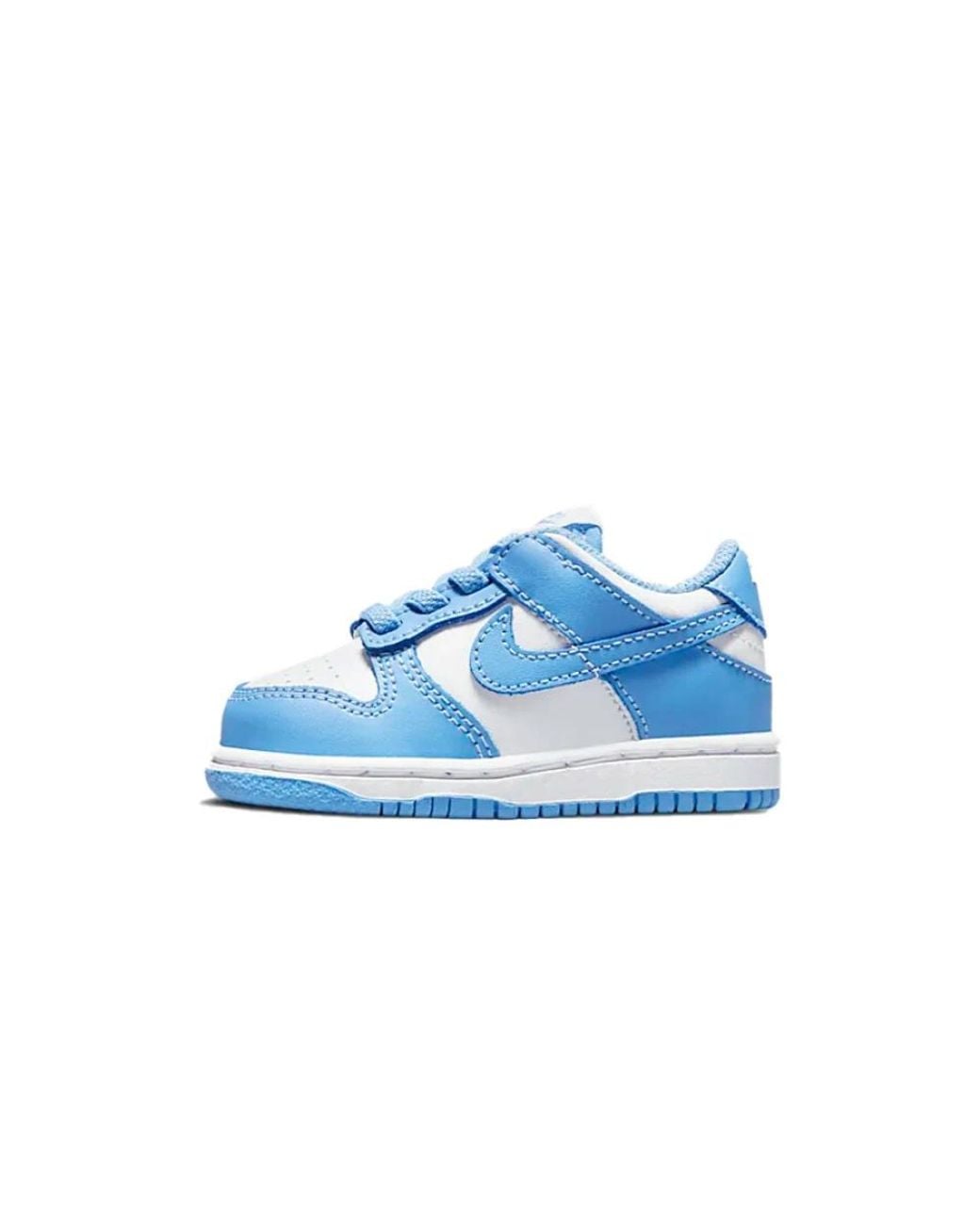 Nike Blue Dunk Low