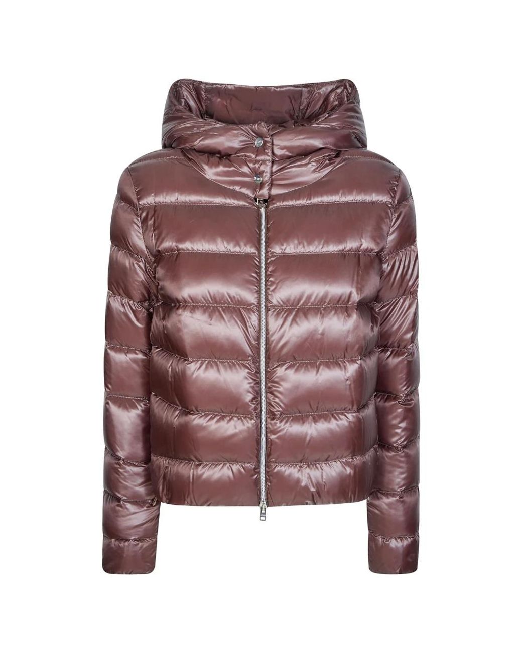 Winter Jackets Herno en coloris Multicolor