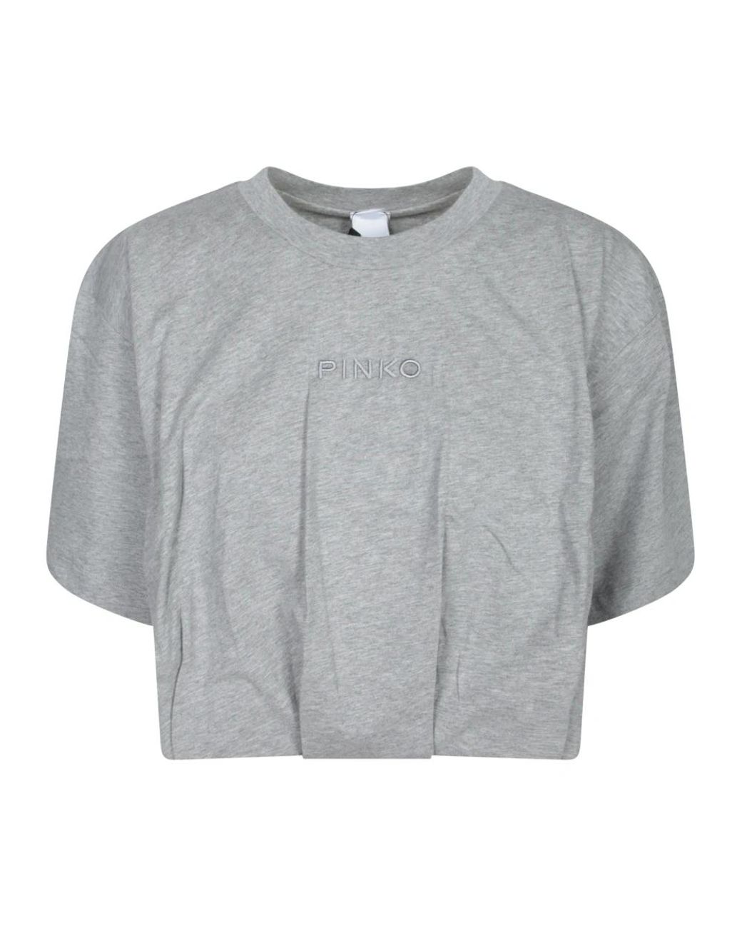 Pinko Tops ,Grijs ,Grijze T-Shirt Voor Vrouwen in het Gray
