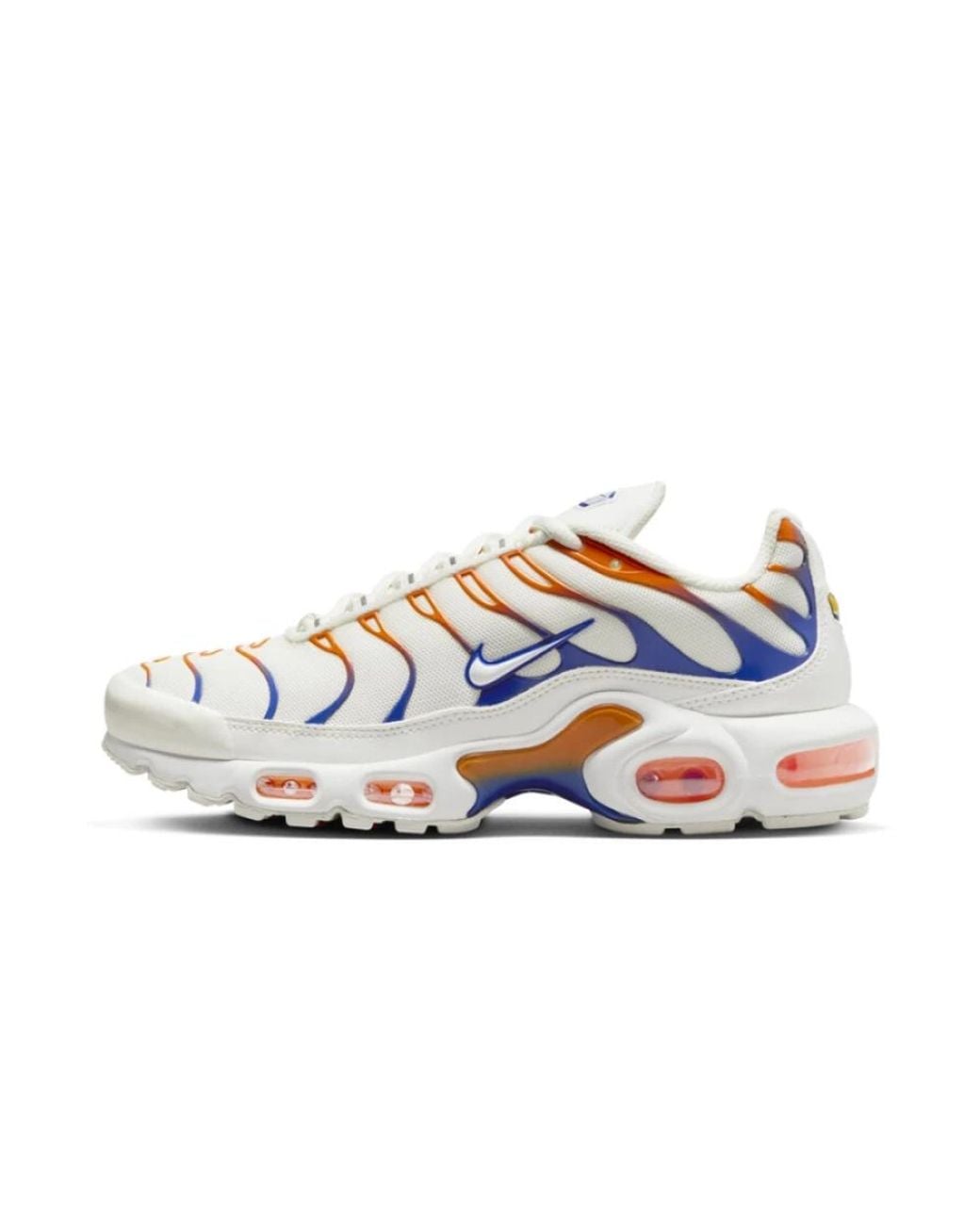 Nike Blue Air Max Plus