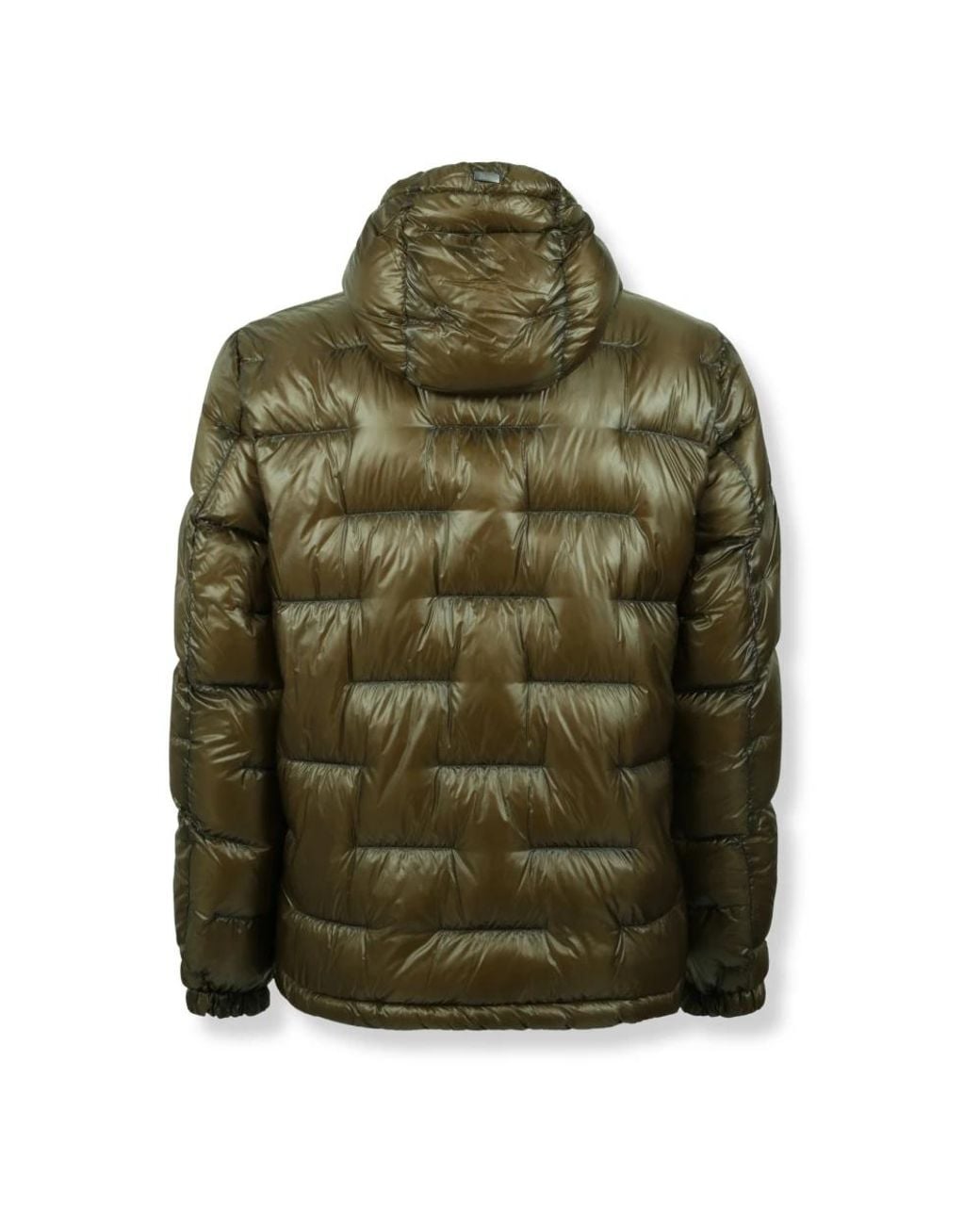 Winter Jackets Herno de hombre de color Green