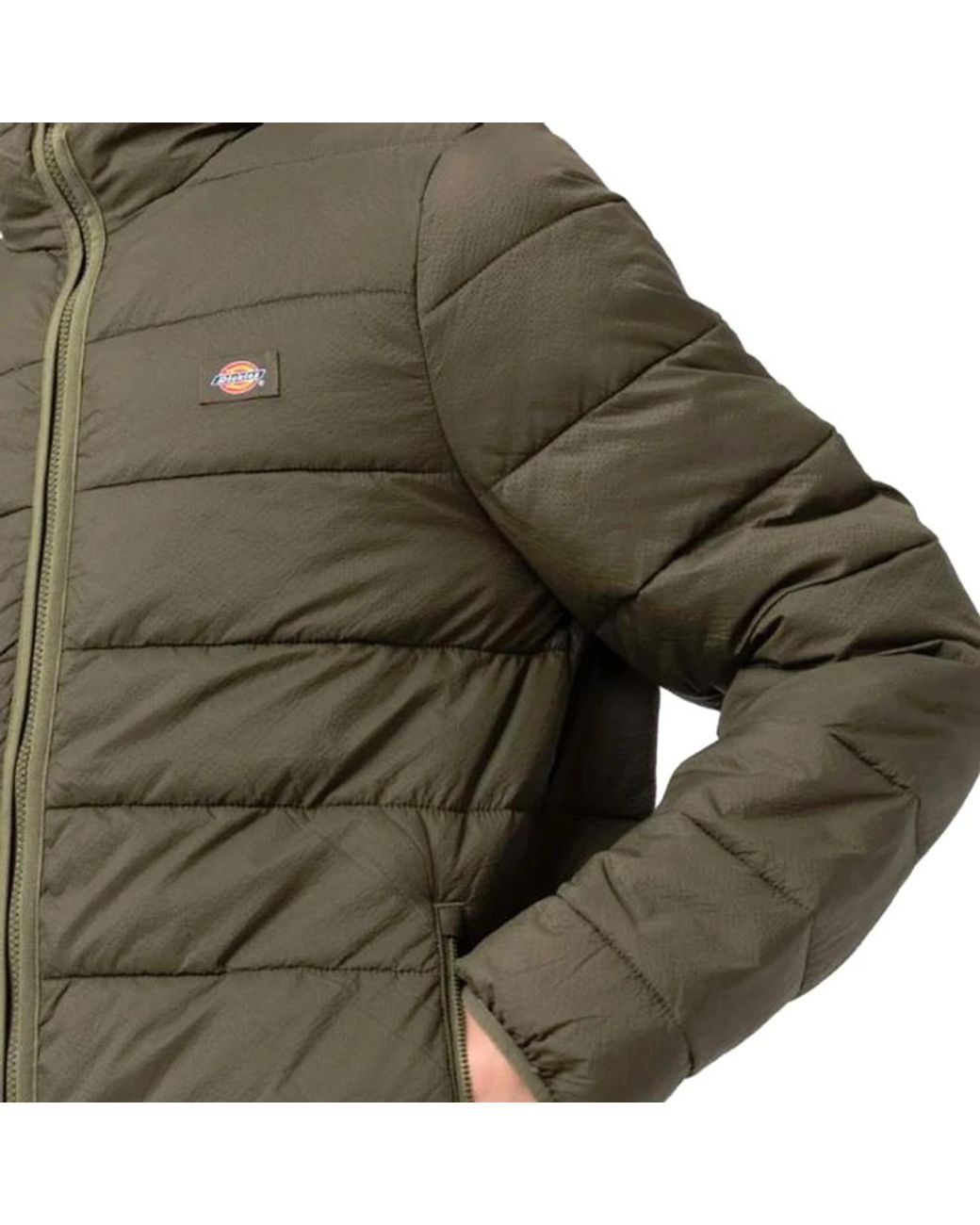 Winter Jackets Dickies de hombre de color Green