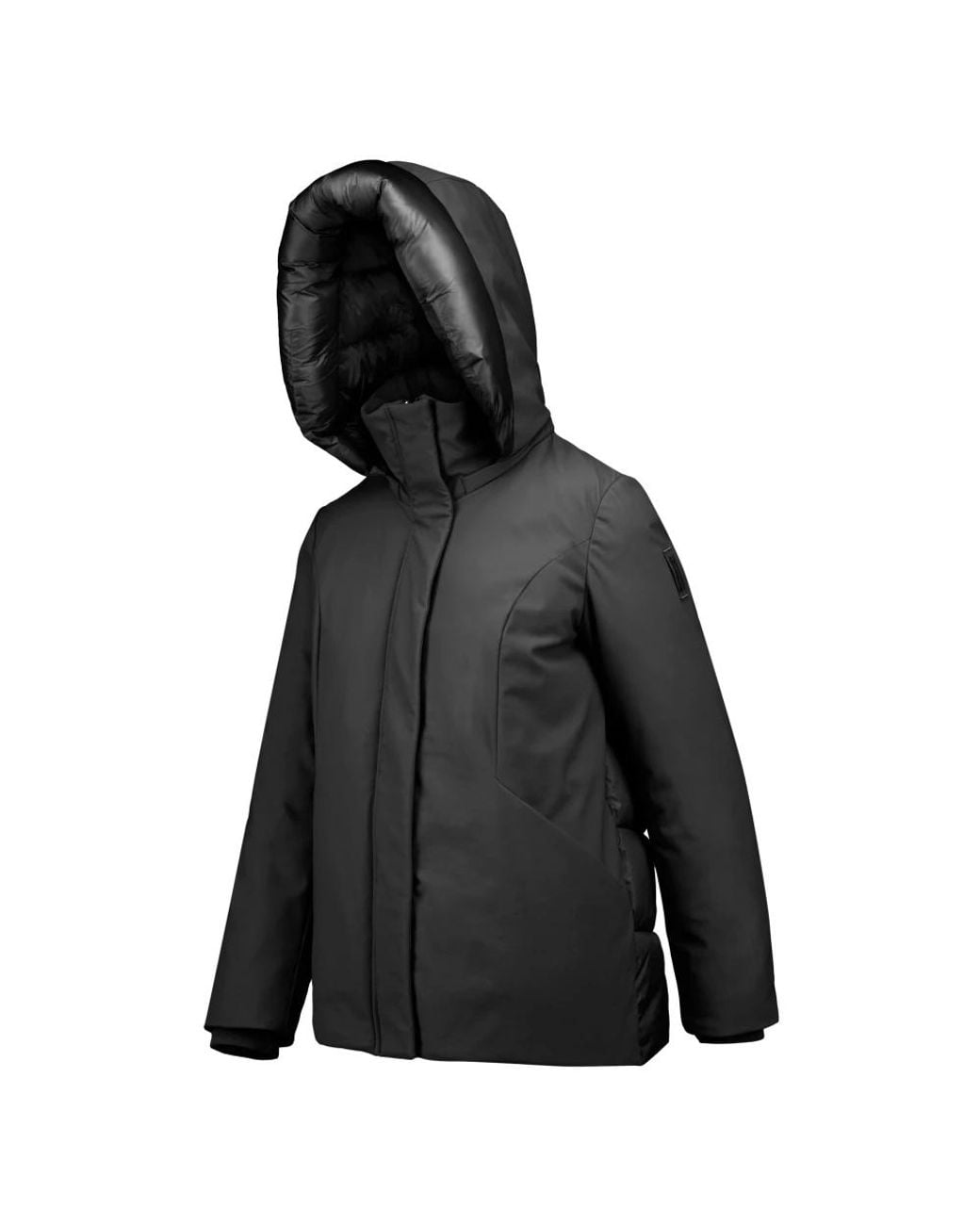 Winter Jackets Bomboogie de color Black