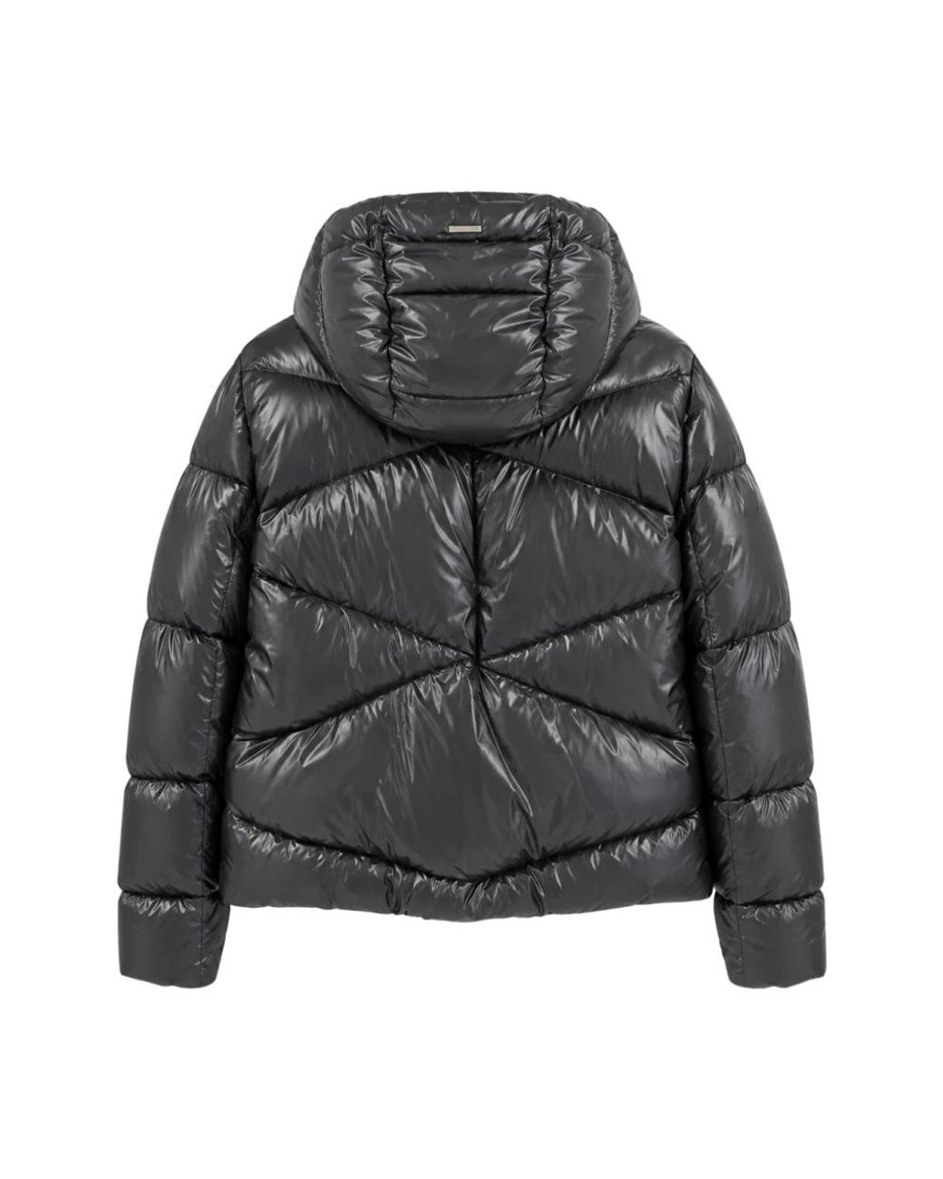 Winter Jackets Herno de color Black