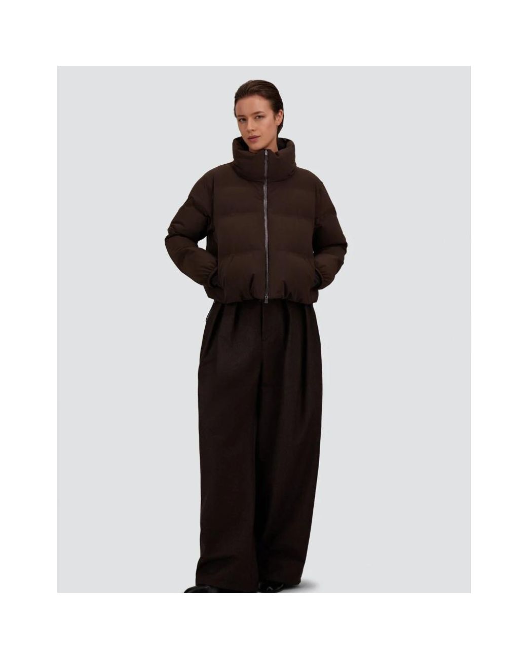 Winter Jackets di Herno in Brown