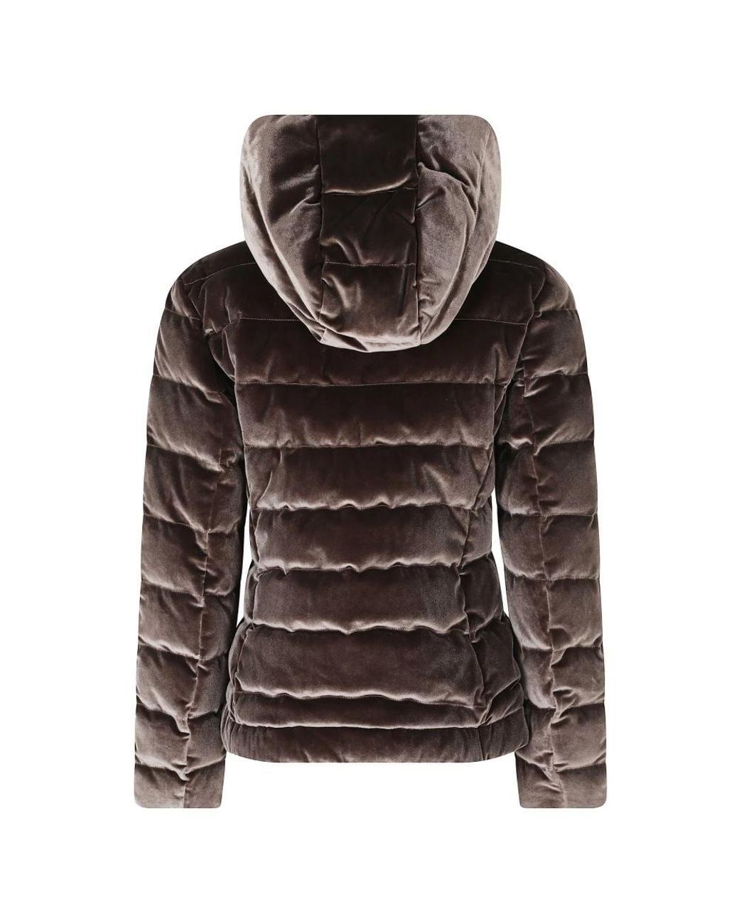 Down Jackets Blauer de color Brown