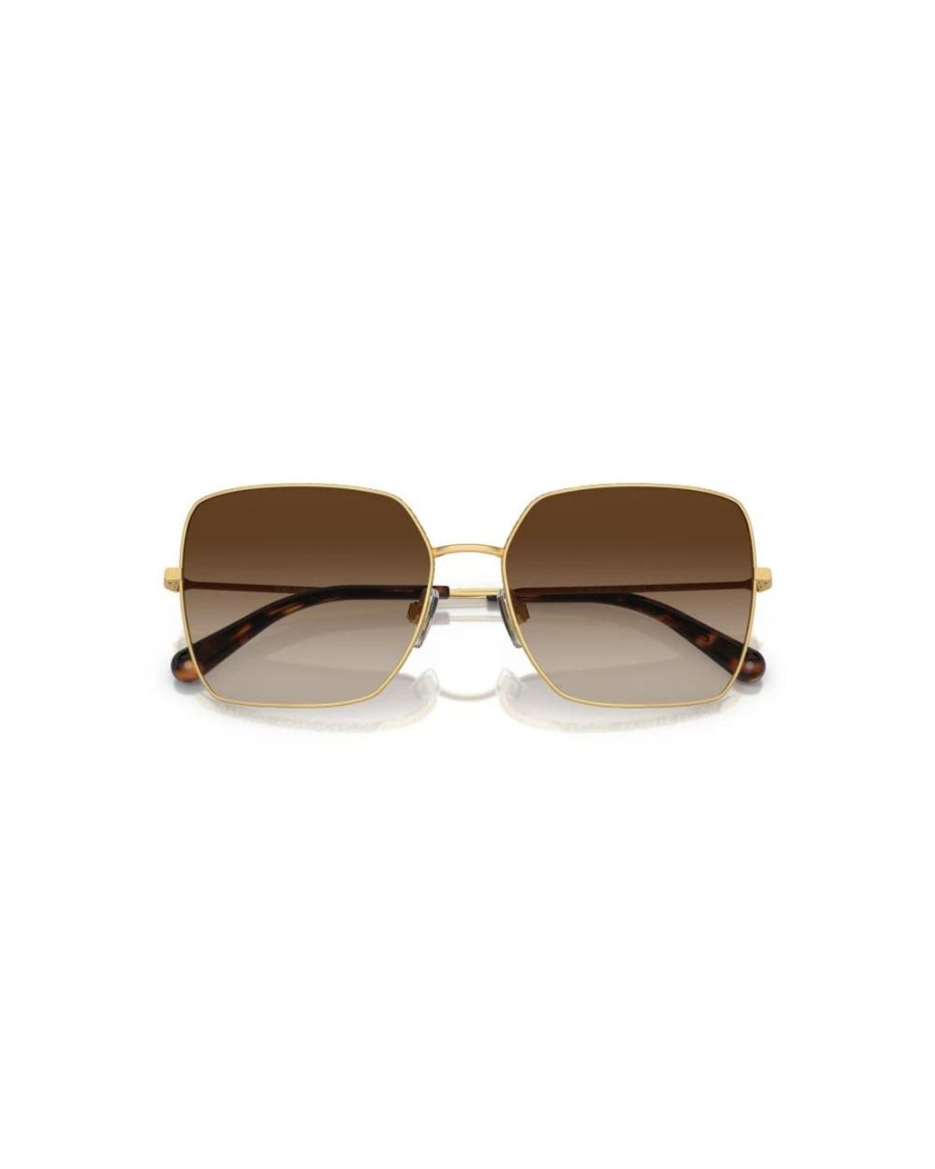 Dolce & Gabbana Brown Sunglasses