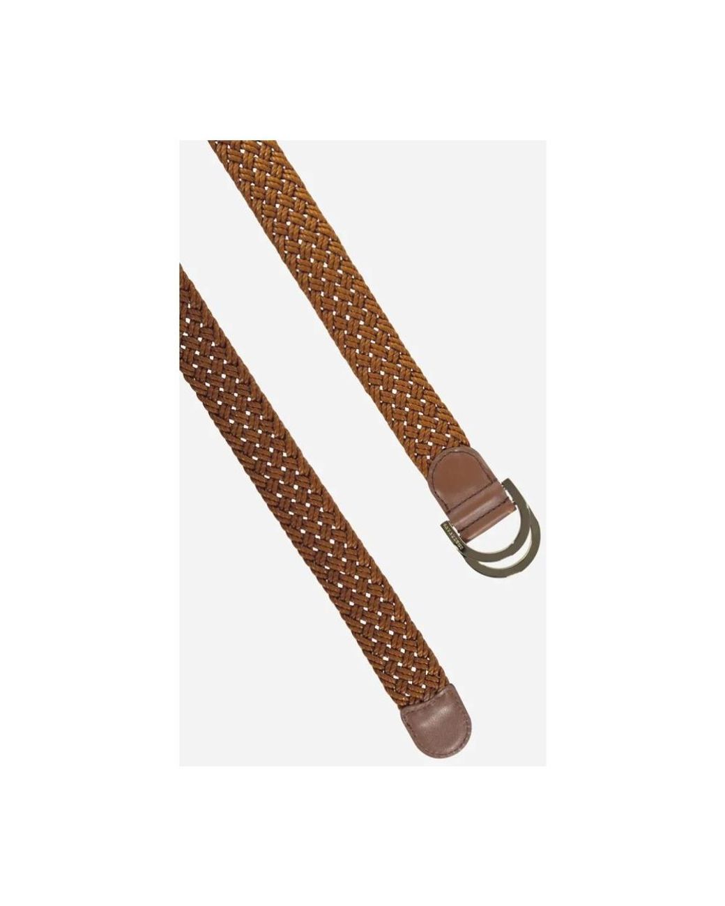 Gavazzeni Brown Belts
