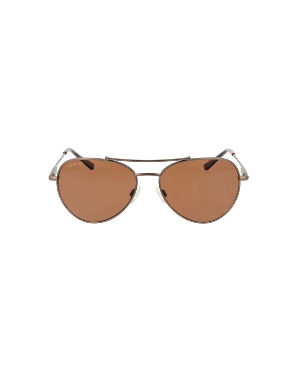 Serengeti Brown Sunglasses
