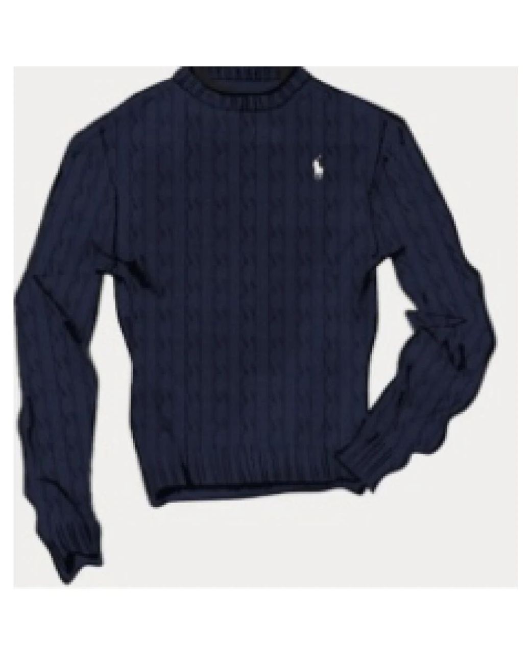 Polo Ralph Lauren Blue Round-Neck Knitwear for men