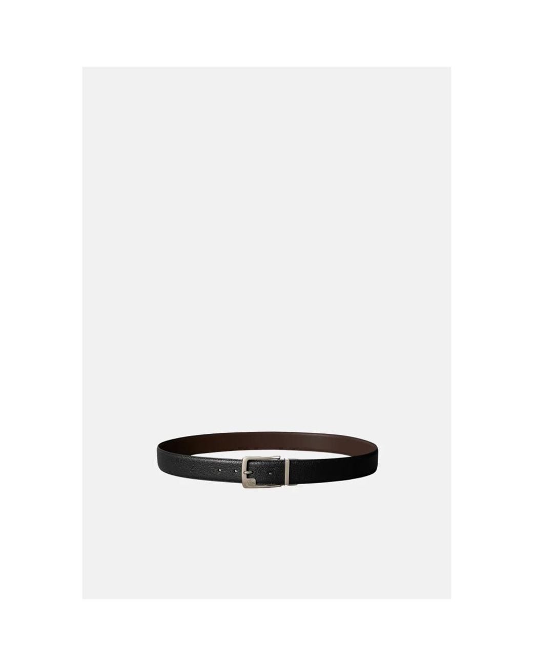 Calvin Klein Black Belts for men