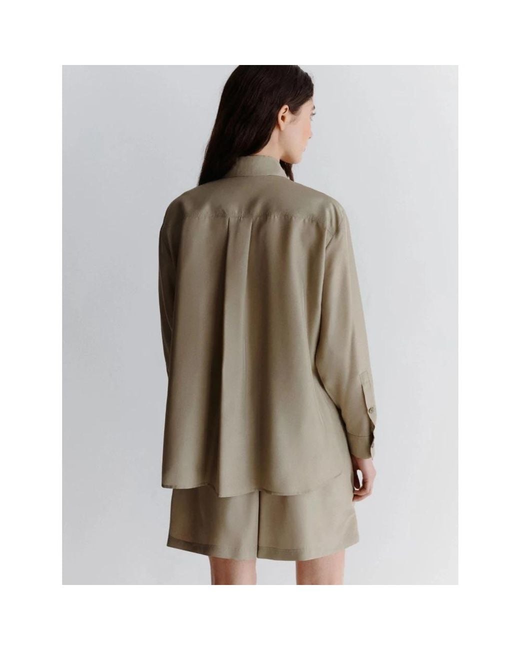 Marella Brown Shirts