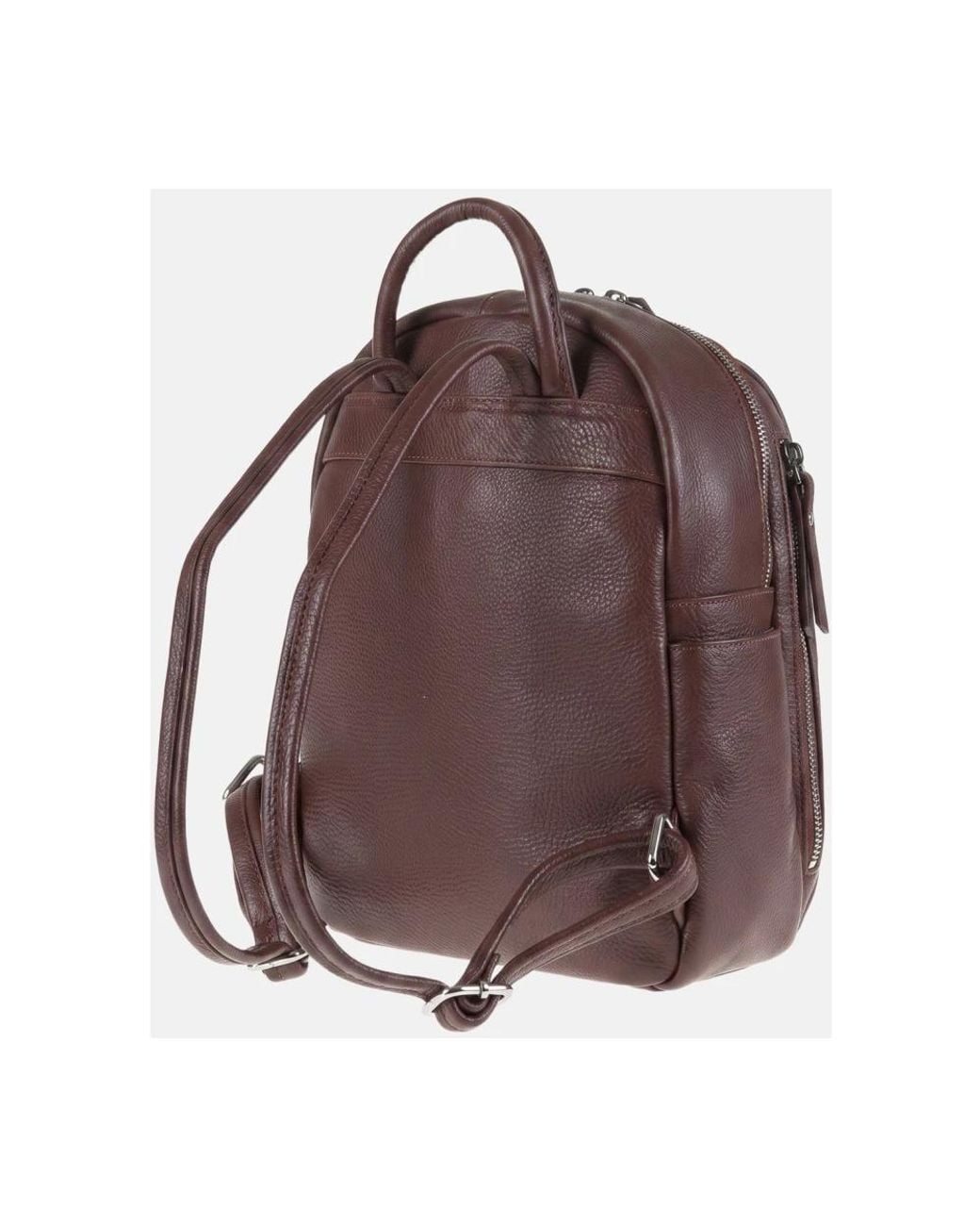 Pierre Cardin Brown Backpacks