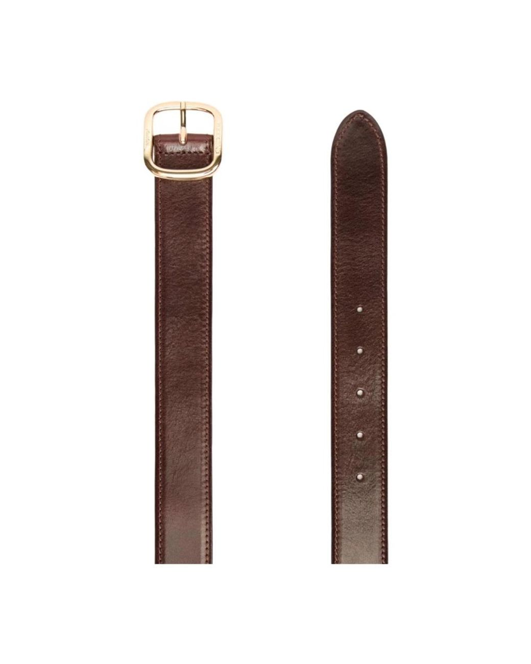 Weekend by Maxmara Brown Belts