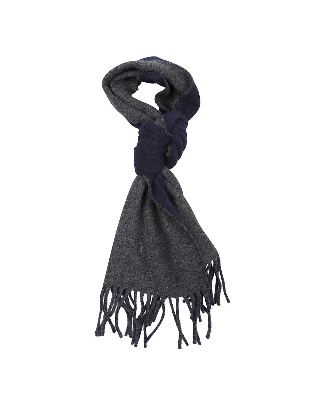 Polo Ralph Lauren Blue Winter Scarves for men